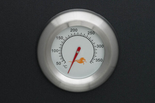 termometer i gasrök