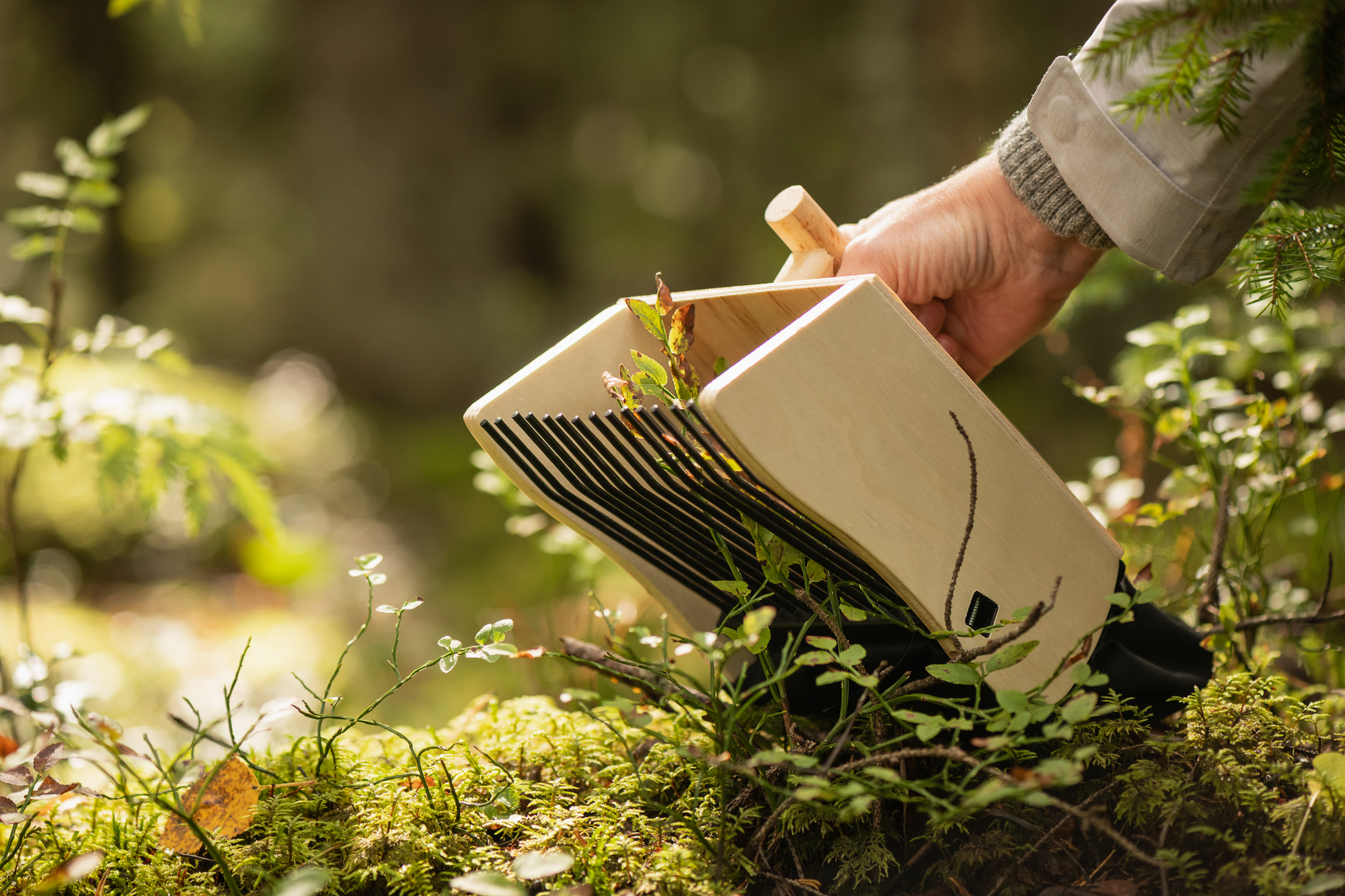 Bärplockare, professionell liten